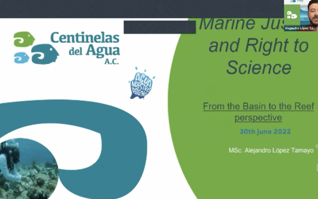 “Marine justice and right to science. From the basin to the reef perspective” by Alejandro Tamayo, Centinelas Del Agua
