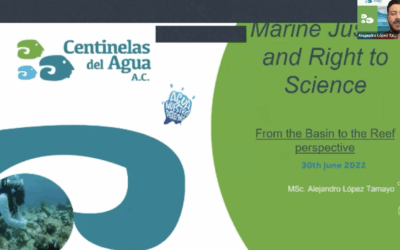 “Marine justice and right to science. From the basin to the reef perspective” by Alejandro Tamayo, Centinelas Del Agua