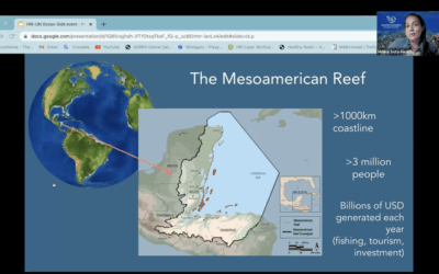 “Collaborative monitoring and communication: Reef health science for ALL in the mesoamerican reef” by Melina Soto, Healthy Reefs for Healthy People