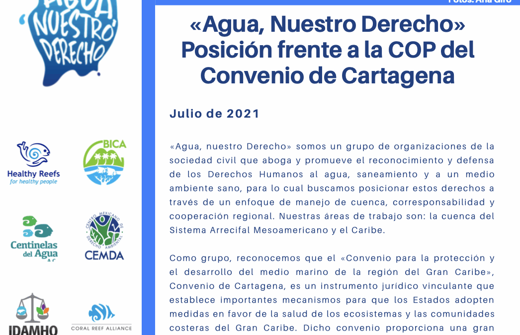Posición frente a la COP del convenio de Cartagena.
