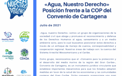 Posición frente a la COP del convenio de Cartagena.